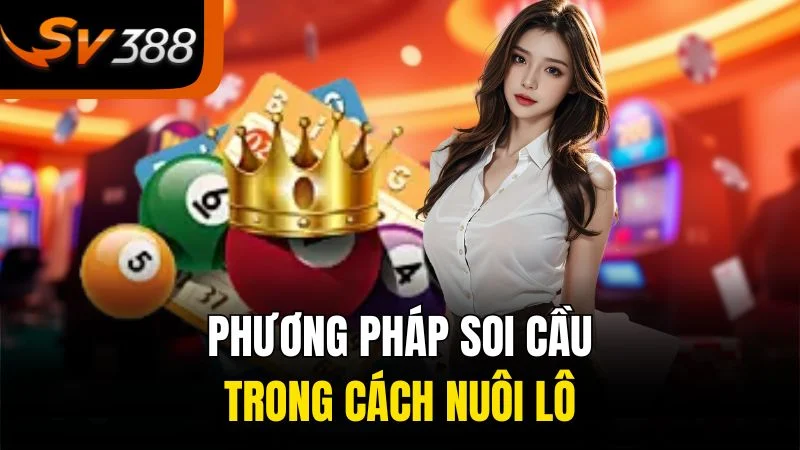 Phương pháp soi cầu trong cách nuôi lô